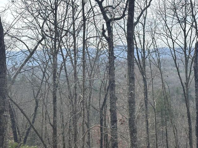 39 Moon Howler Drive, Murphy, MD 20906