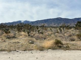 0 Mono, Pinon Hills, CA 92372