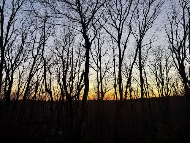 4007 Anderson Pike, Signal Mountain, TN 37377