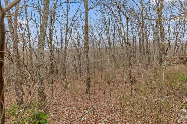 4007 Anderson Pike, Signal Mountain, TN 37377