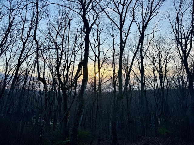 4007 Anderson Pike, Signal Mountain, TN 37377