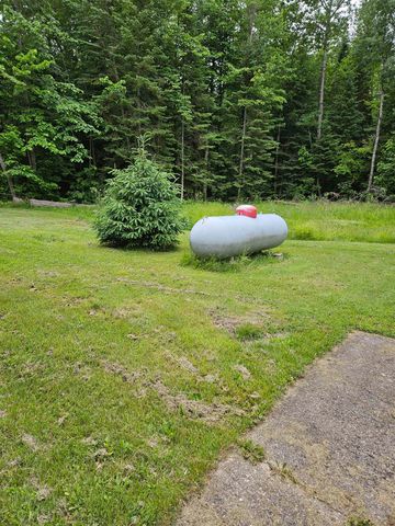4627 Wildwood Road, Alger, MI 48610