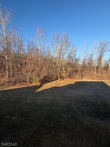 8 Holly Dr., Hamburg Boro, NJ 07419