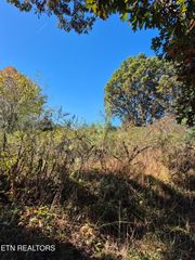 County Road 299, Sweetwater, TN 37874