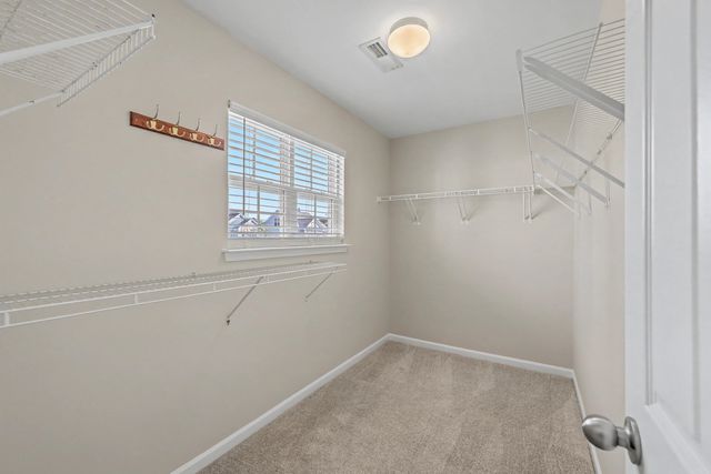 8959 N Red Maple Circle, Summerville, SC 29485