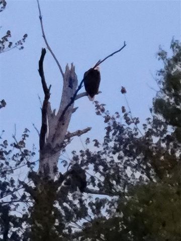 N12940 County Road T, Fairchild, WI 54741