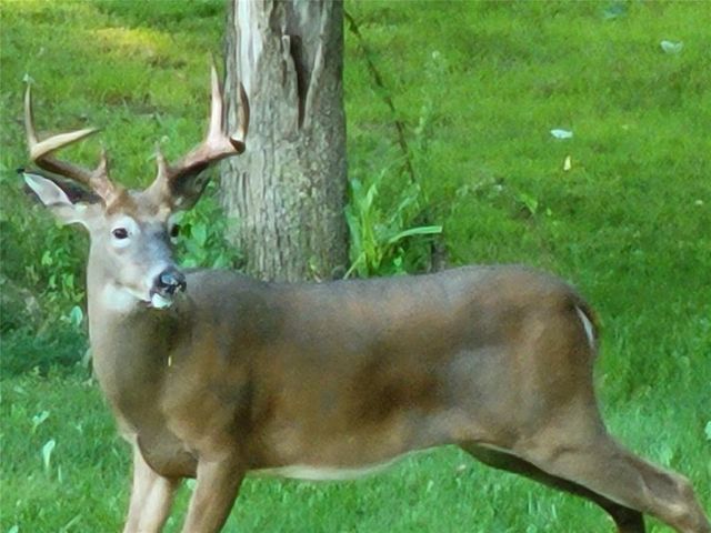 N12940 County Road T, Fairchild, WI 54741