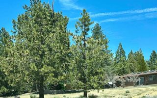 4324 Combs Canyon Road, Carson City, NV 89703