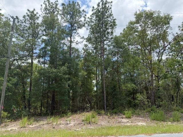 1982 W ROSEBORO DRIVE, Dunnellon, FL 34434