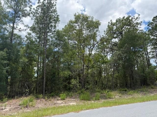 1982 W ROSEBORO DRIVE, Dunnellon, FL 34434