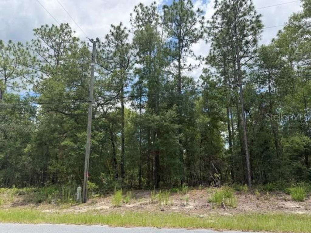 1982 W ROSEBORO DRIVE, Dunnellon, FL 34434