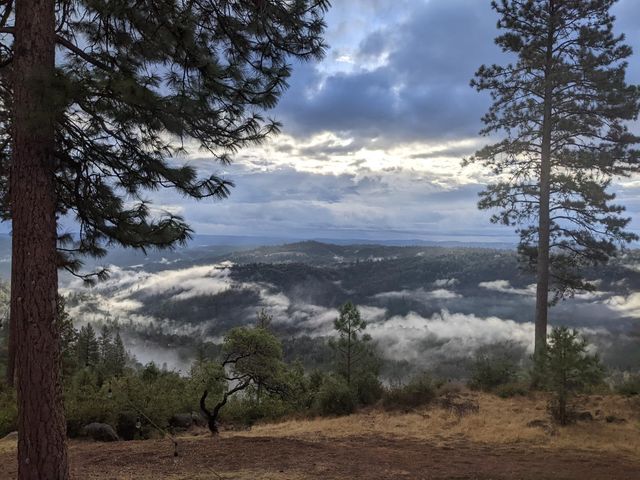 1581 Moccasin Trl, Placerville, CA 95667