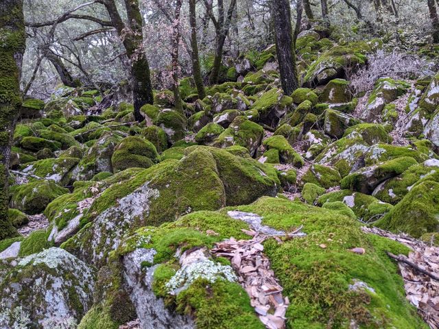 1581 Moccasin Trl, Placerville, CA 95667