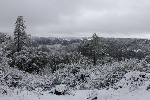 1581 Moccasin Trl, Placerville, CA 95667