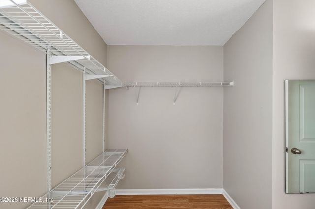 6191 EDDYSTONE Trail, Jacksonville, FL 32258