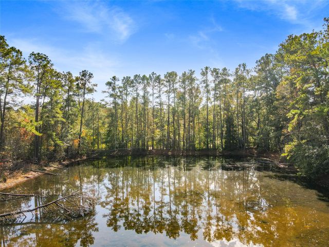 18186 Blackberry Road, Conroe, TX 77306