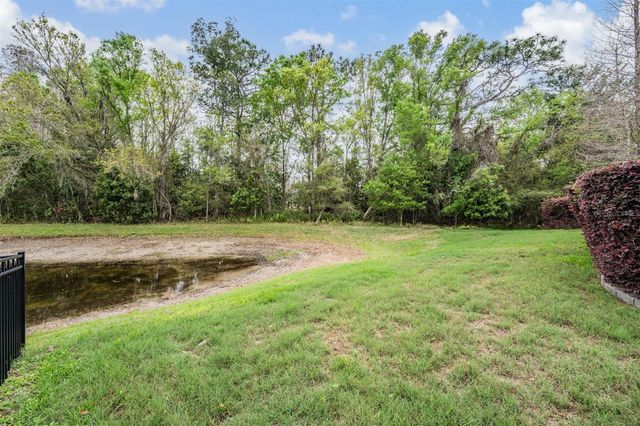 19420 AUTUMN CHASE COURT, Land O Lakes, FL 34638