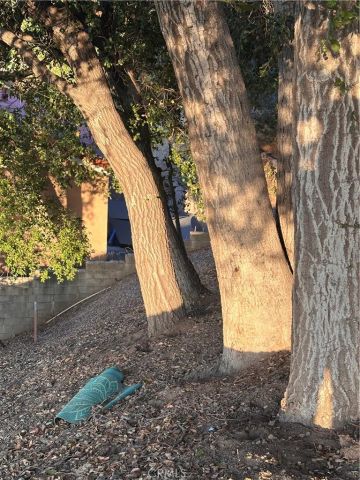 996 Rockdale, Los Angeles, CA 90041