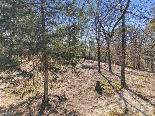 1745 Raintree Lake Cir, Big Sandy, TX 75755