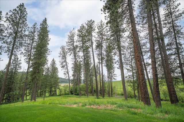12421 E Mt Spokane Park Dr, Mead, WA 99021