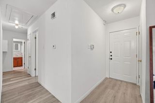 5704 Hammermill RUN, Austin, TX 78744