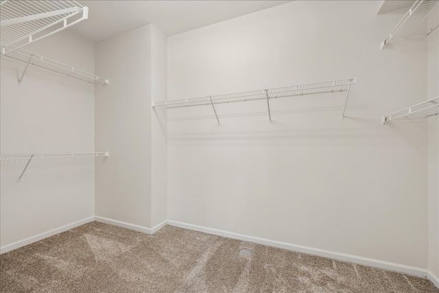 11764 Wembley Drive, Huntley, IL 60142
