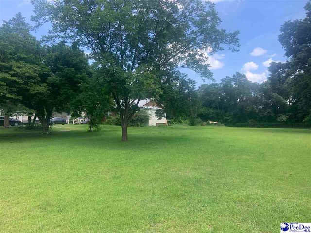 2225 E Home Ave, Hartsville, SC 29550