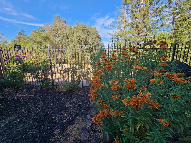 3504 Pleasant Creek Drive, Rocklin, CA 95765
