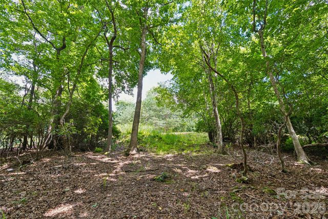 1545 Country View Way 302, Arden, NC 28704