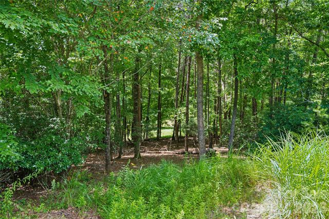 1545 Country View Way 302, Arden, NC 28704