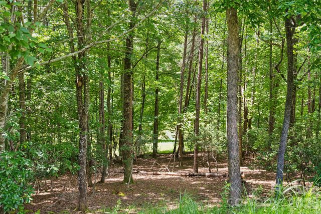 1545 Country View Way 302, Arden, NC 28704