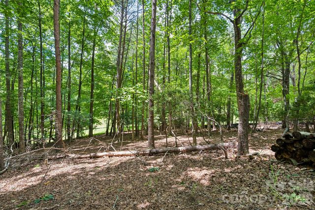 1545 Country View Way 302, Arden, NC 28704