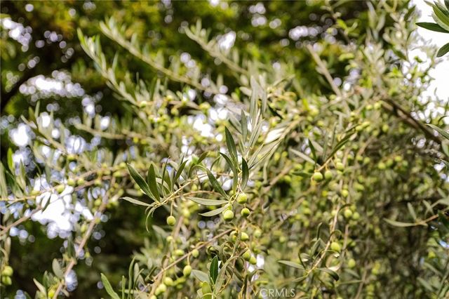 1528 Bidwell Drive, Chico, CA 95926