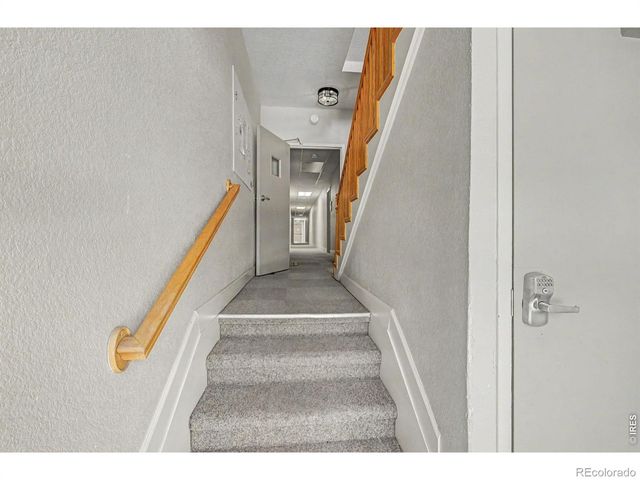 1629 N Clarkson Street 11, Denver, CO 80218
