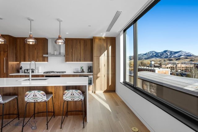 101 S Wallace Avenue 402, Bozeman, MT 59715