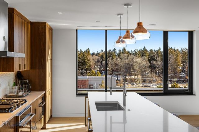 101 S Wallace Avenue 402, Bozeman, MT 59715