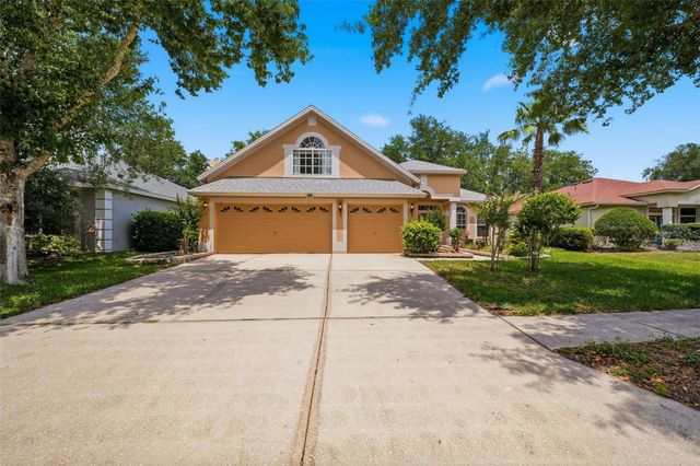 10209 SHADOW BRANCH DRIVE, Tampa, FL 33647