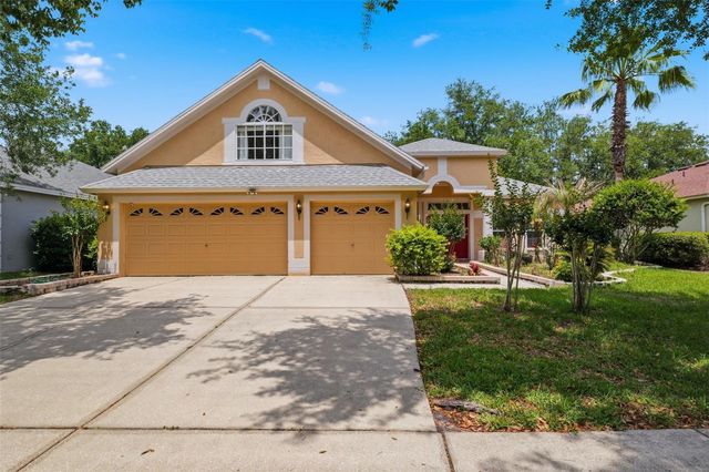 10209 SHADOW BRANCH DRIVE, Tampa, FL 33647