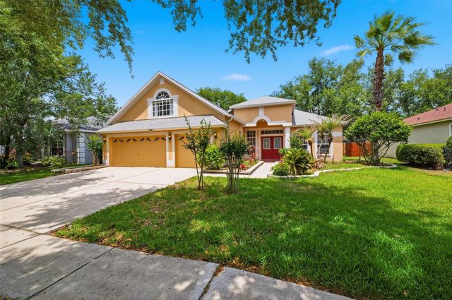 10209 SHADOW BRANCH DRIVE, Tampa, FL 33647