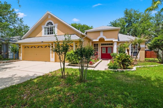 10209 SHADOW BRANCH DRIVE, Tampa, FL 33647