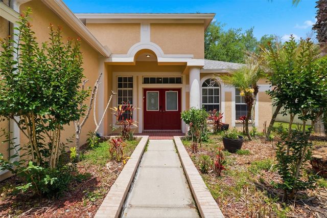 10209 SHADOW BRANCH DRIVE, Tampa, FL 33647