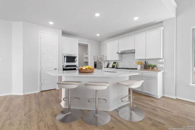 2621 White Willow, San Antonio, TX 78245