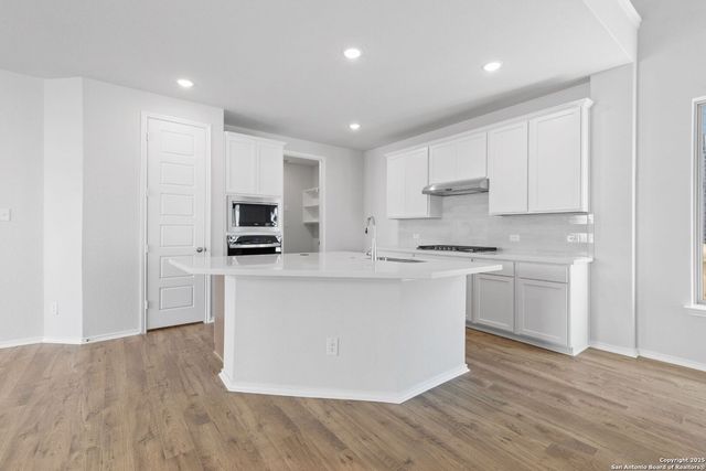 2621 White Willow, San Antonio, TX 78245