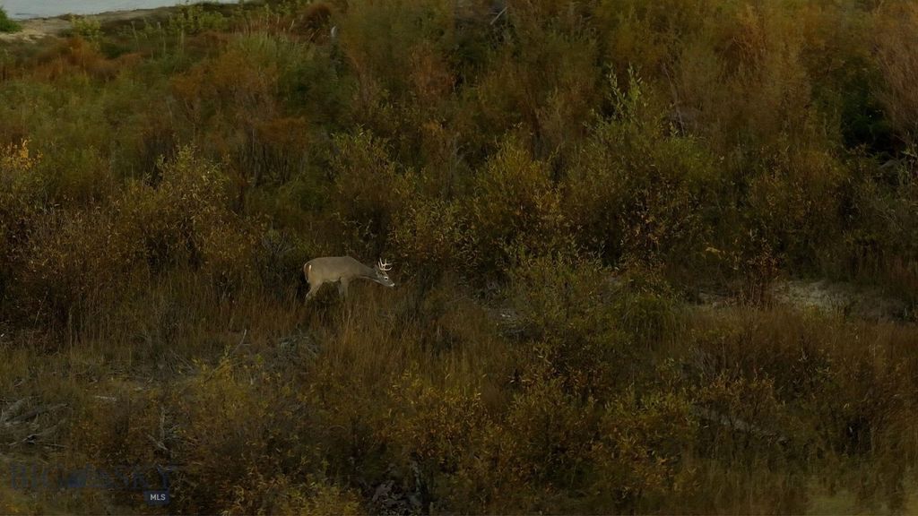15 Meridian Road, Three Forks, MT 59752 photo 34