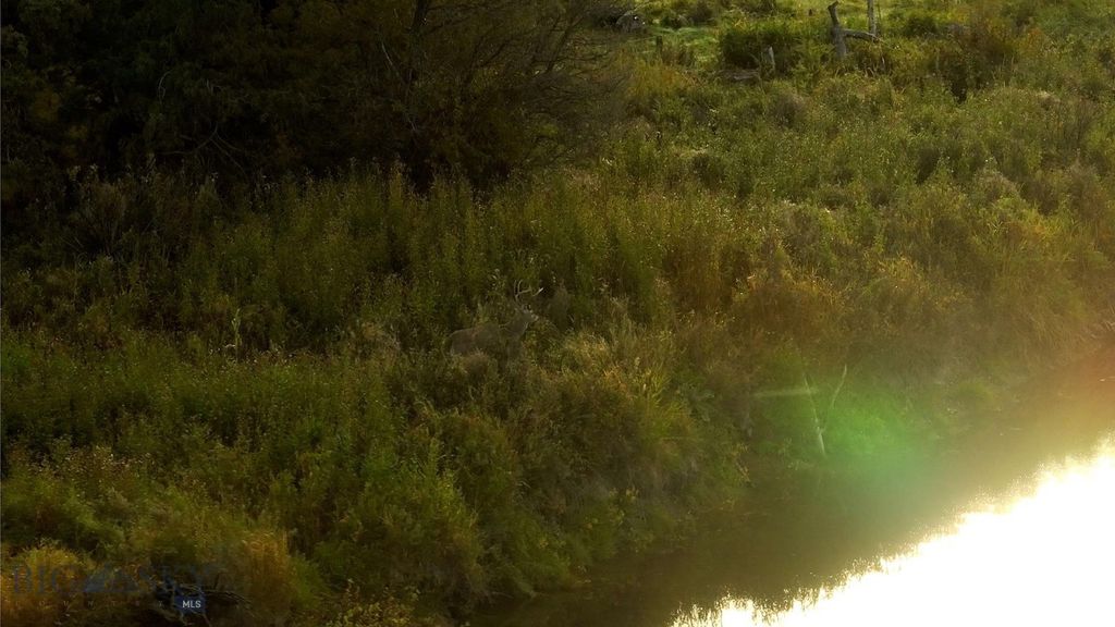 15 Meridian Road, Three Forks, MT 59752 photo 40