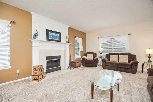 5684 Trystin Tree Drive, Medina, OH 44256