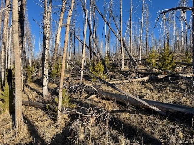 1502 Vonheyl Ln, Fort Garland, CO 81133