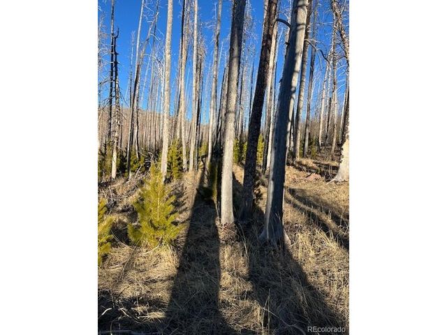 1502 Vonheyl Ln, Fort Garland, CO 81133