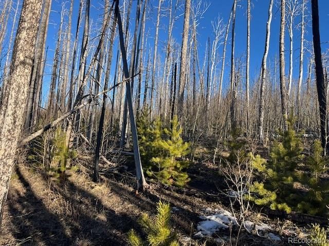 1502 Vonheyl Ln, Fort Garland, CO 81133