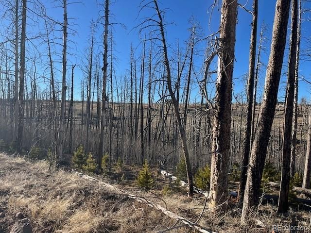 1502 Vonheyl Ln, Fort Garland, CO 81133